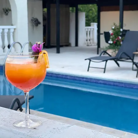 Bed and breakfast La Vida L'Alfas del Pi